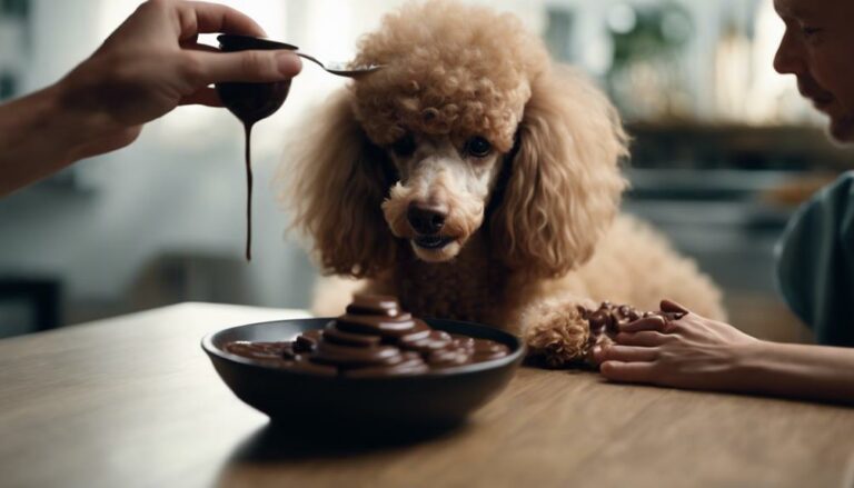 avoid common poodle feeding