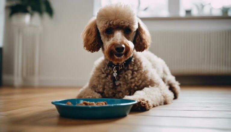 food aggression in poodles