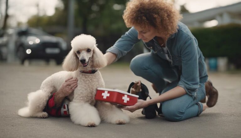 poodle owners first aid