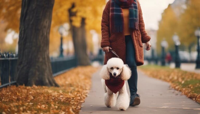 poodle owners seasonal health