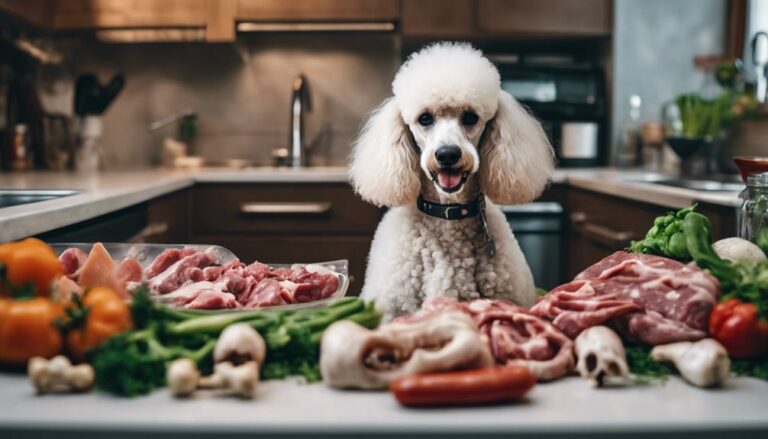 poodle raw diet tips